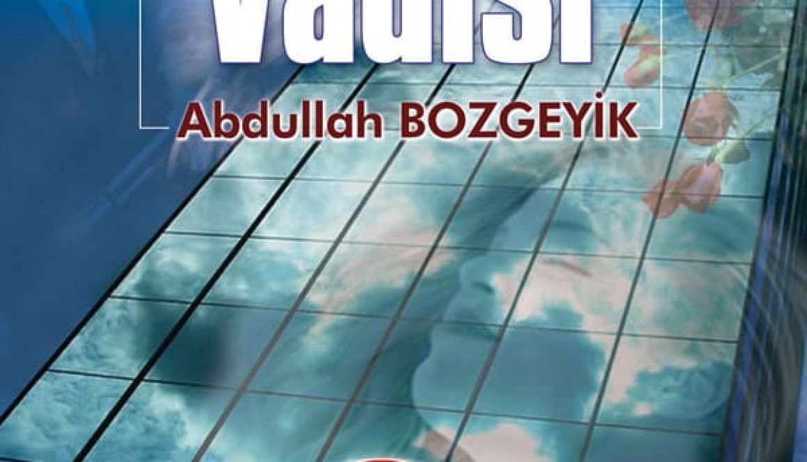 Abdullah Bozgeyik - Plazalar Vadisi