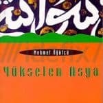 Mehmet Öğütçü - Yükselen Asya