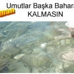 E-roman - Umutlar Başka Bahara Kalmasın