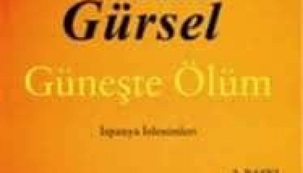 Nedim Gürsel - Güneşte Ölüm