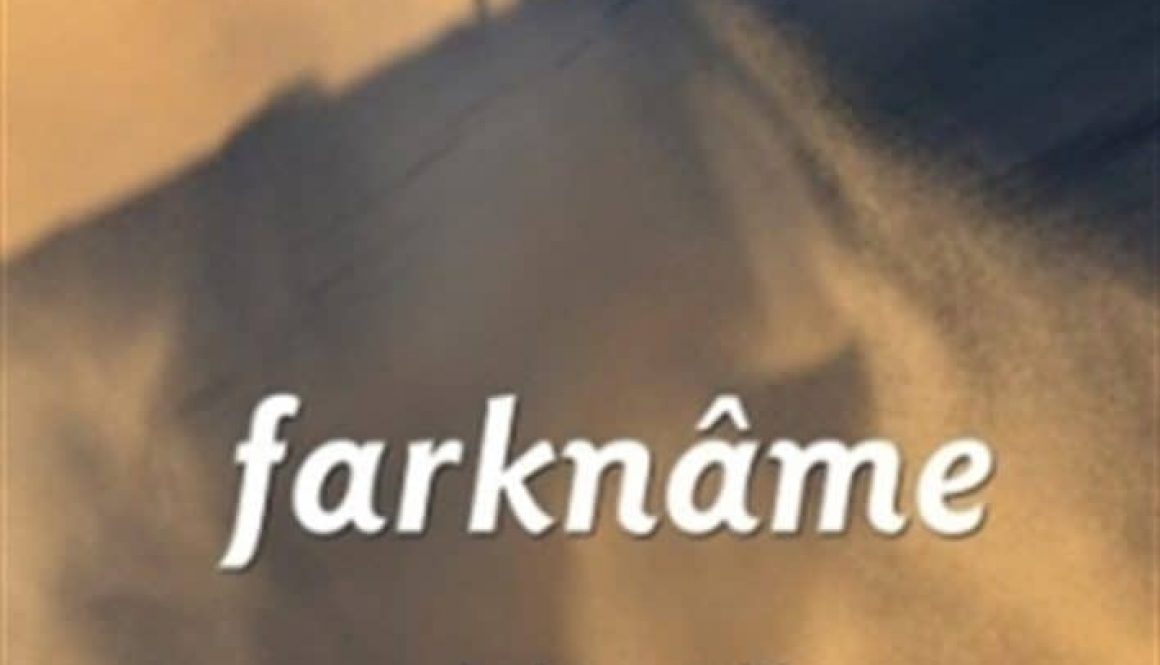 Hakan Çelik - Farkname