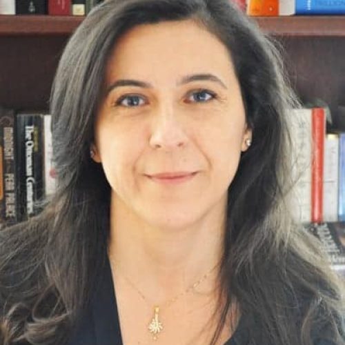 şebnem-k şebnem-k