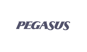 Pegasus