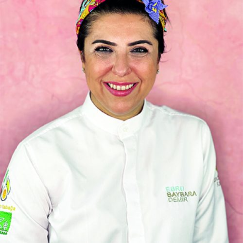 ebru-baybara-demir
