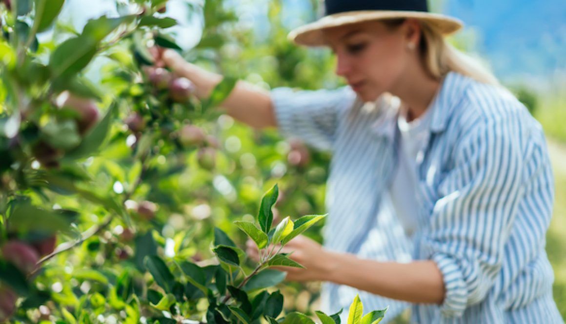 Blurred young woman picking benefits from plant